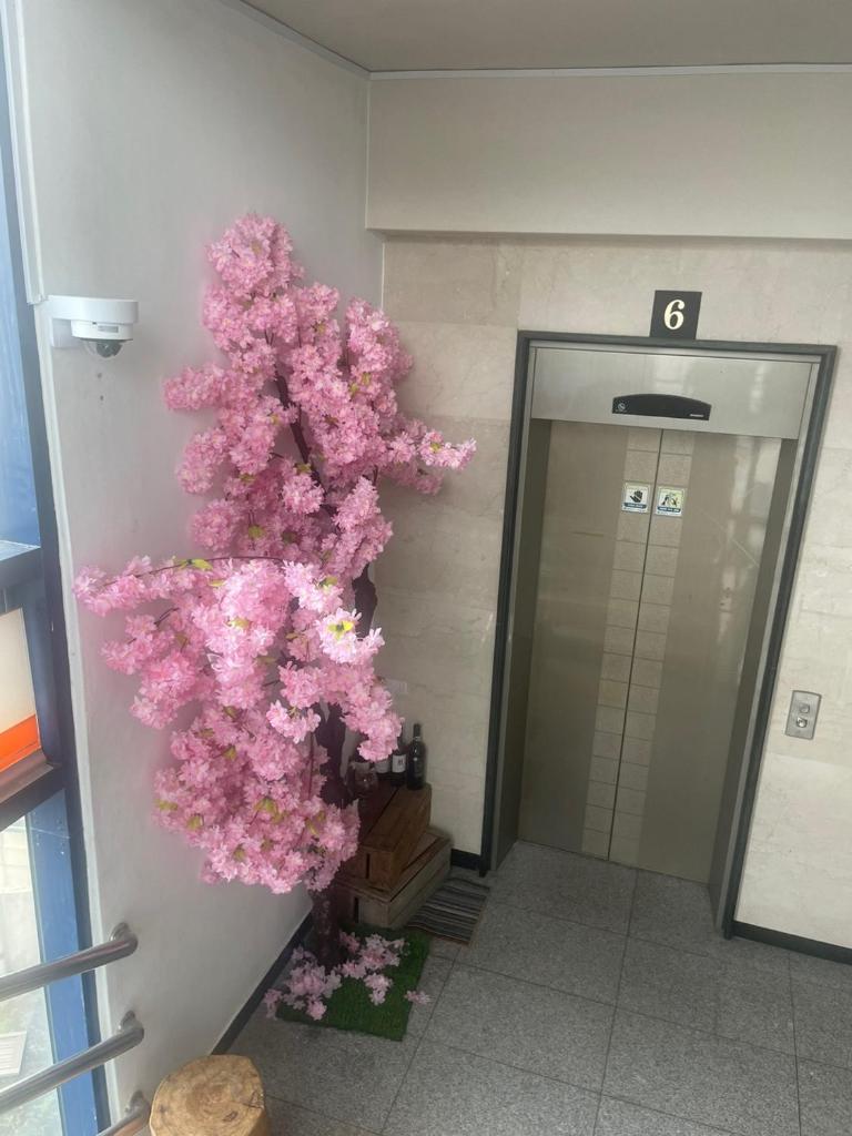Halla guest house photo 2