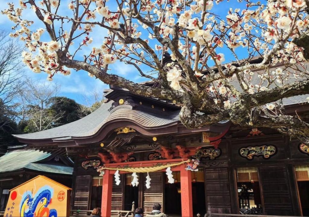 Culturally Unique JAPAN Experiences Tour by hinata Concierge photo 3