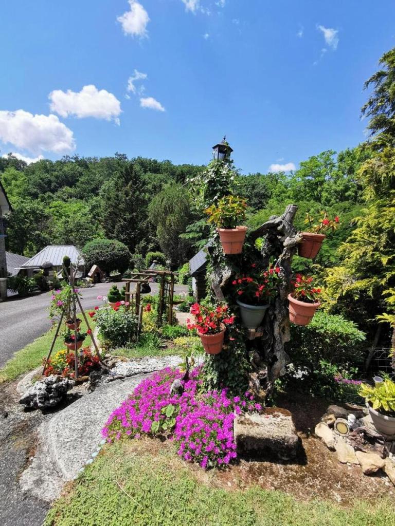 Gîte de France à Lissac sur Couze 3 épis - Gîte de France 4 personnes 524 photo 4