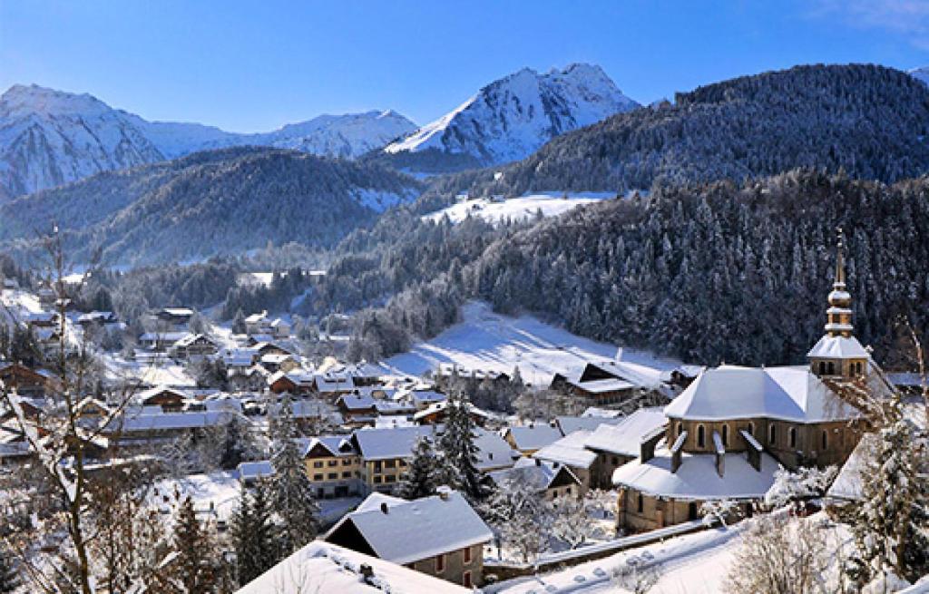 Chalet 10 pièces 20 personnes proche pistes 75578 photo 1