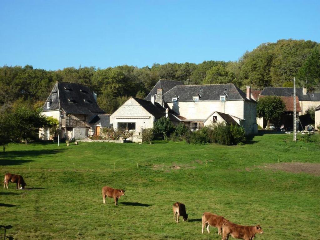 Gîte de France à Turenne 3 épis - Gîte de France 6 personnes 334 photo 3