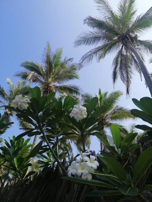 Nayan's Paradise Beach Villa photo 3