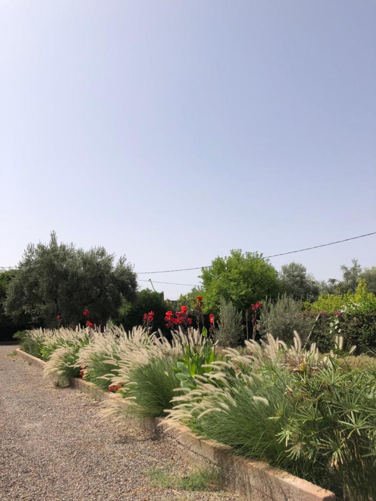 Gite & Camping route Ouarzazate photo 4