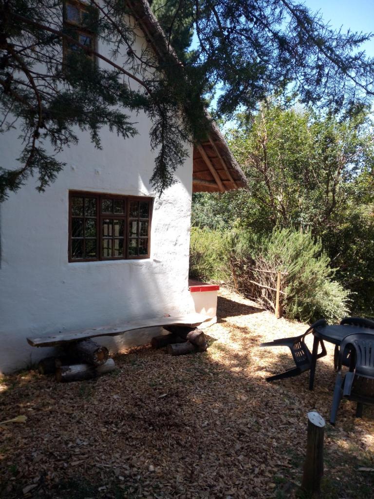Gryffin Cottage at Hogwarts Forest photo 1