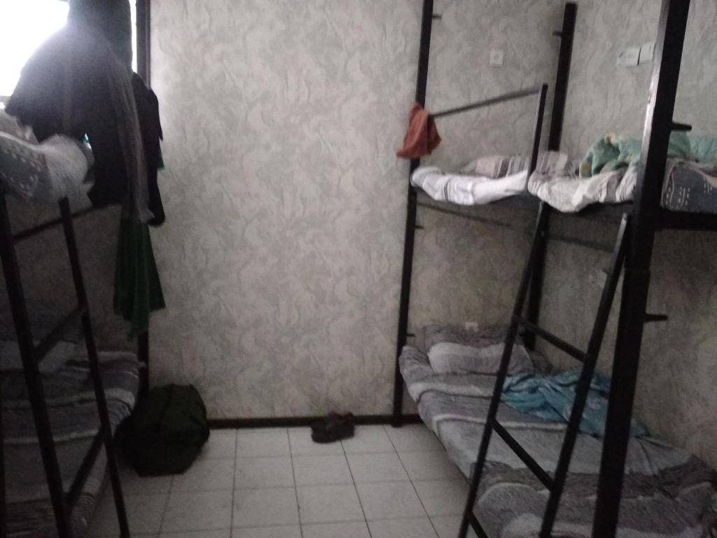 Lotos hostel photo 2