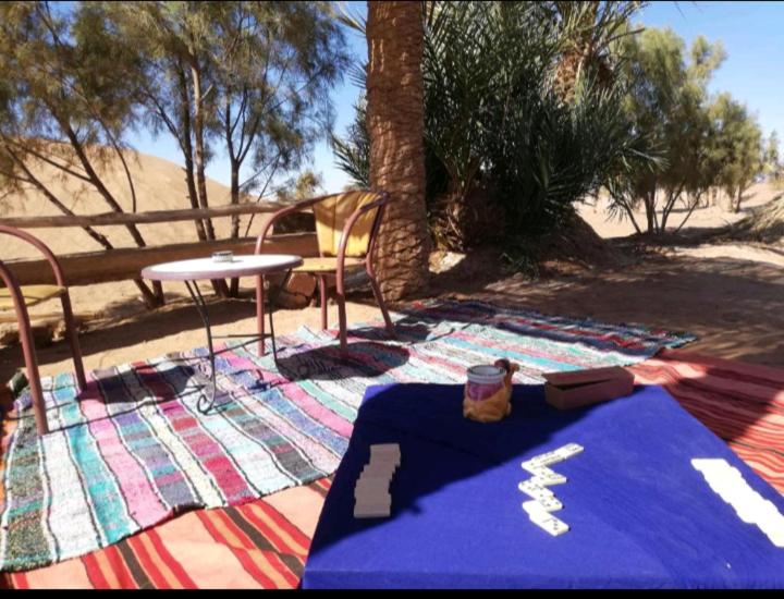 Camel Trekking Experience