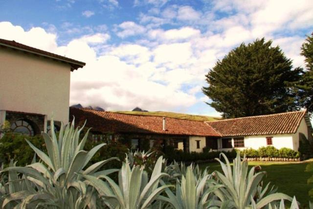 Hacienda Santa Ana photo 1