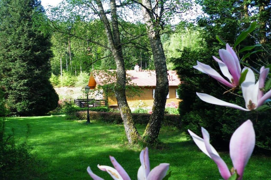 Chalet au bord de l’eau photo 2