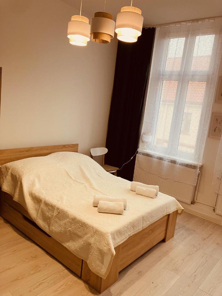 Apartament na Rynku photo 3
