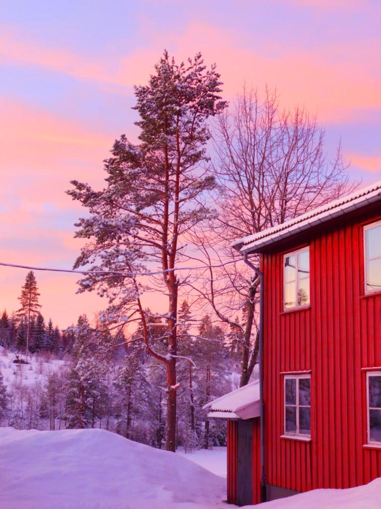 Skogsro Forest Hostel photo 2