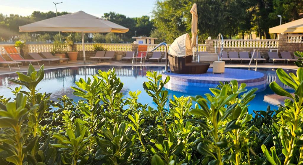 Hotel Miramare photo 3