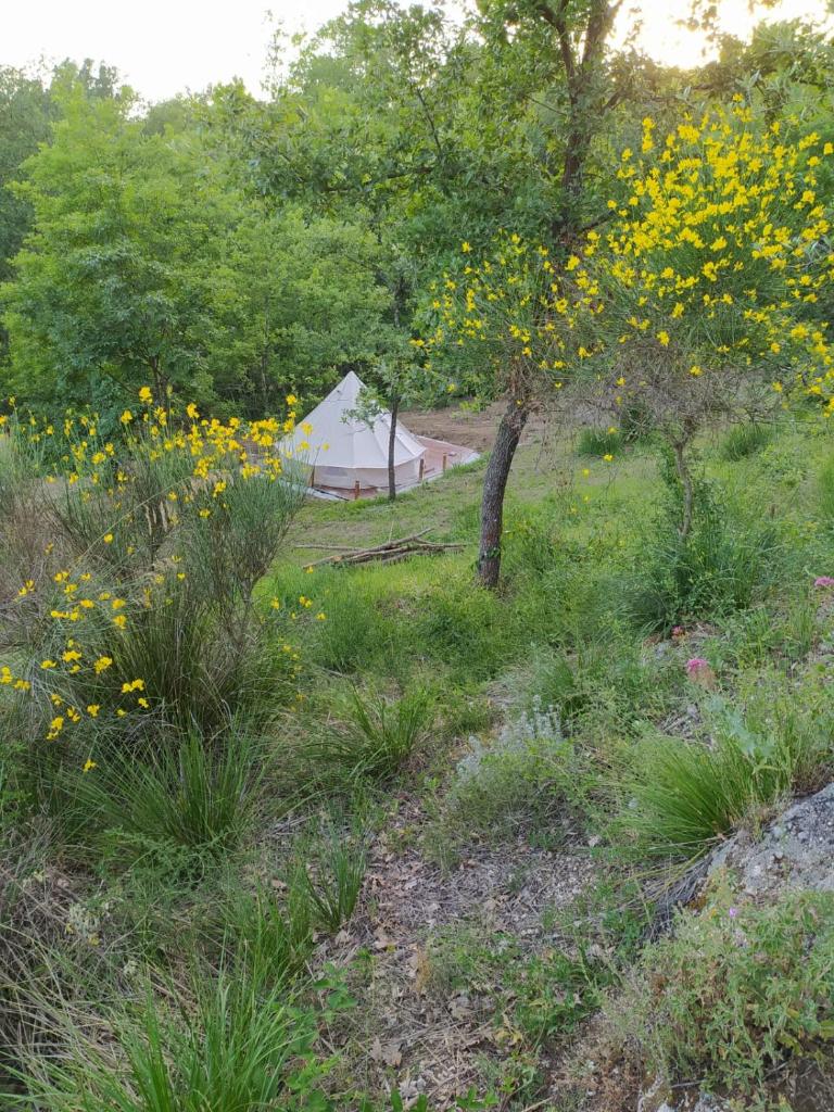 Agriturismo Tre Casali photo 1