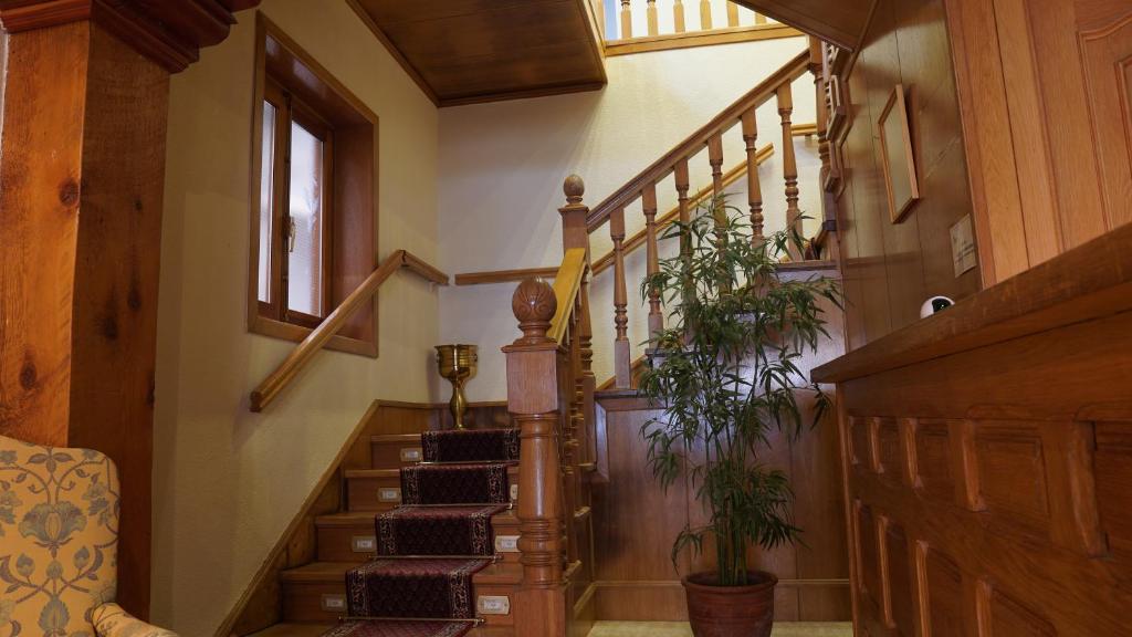 HOTEL RIAZA photo 4