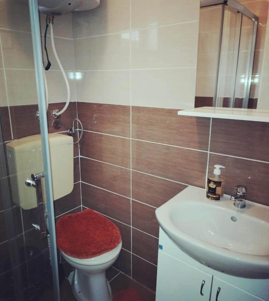 Apartmani Djordjevic photo 2