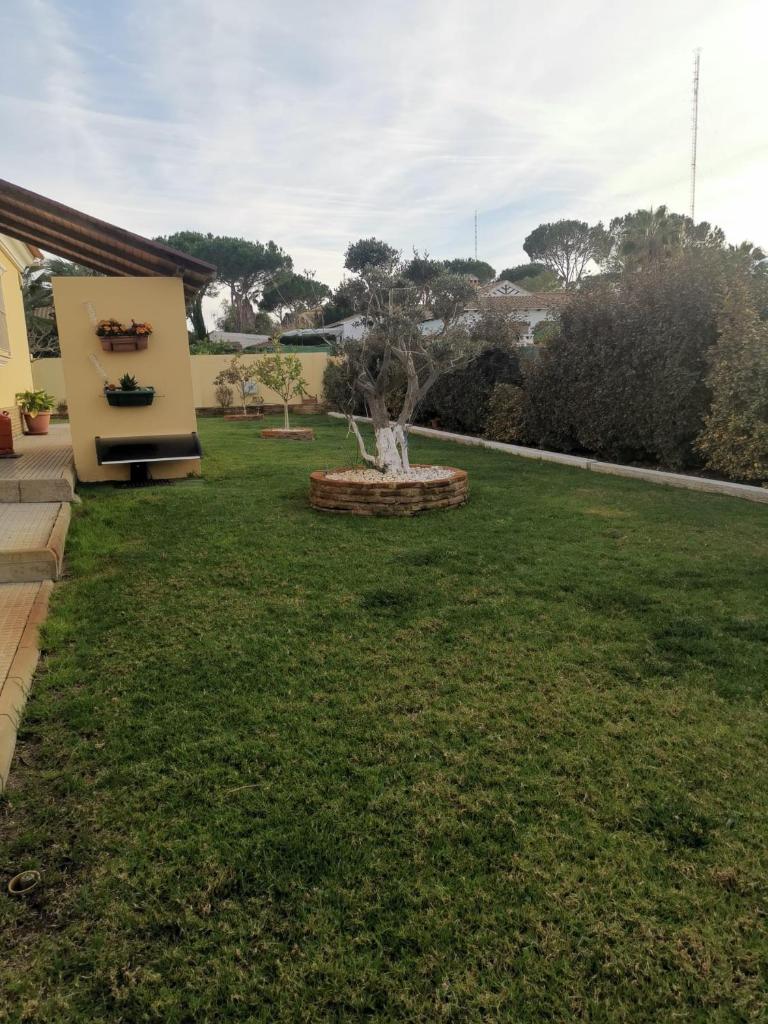 Suite Huelva garden photo 3