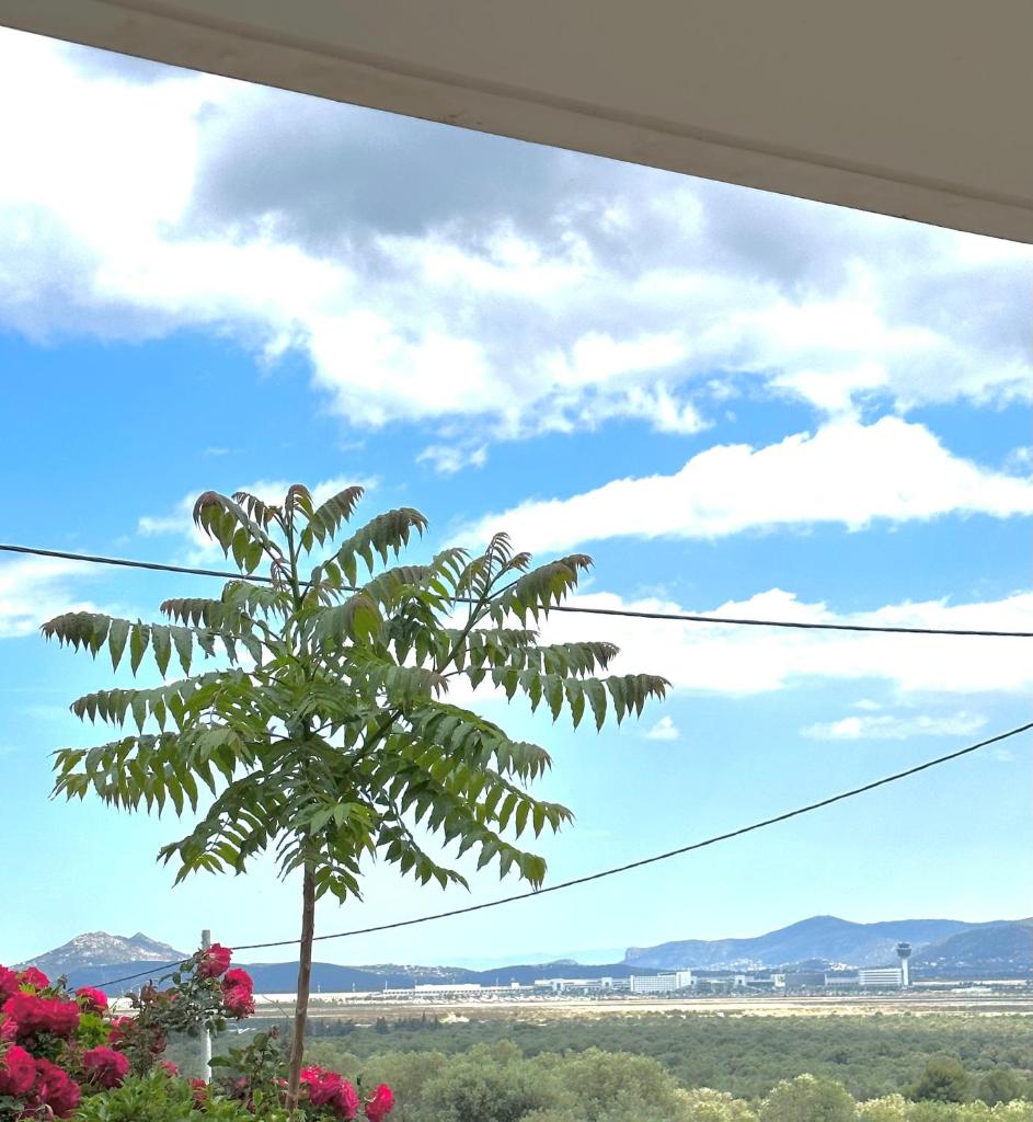 Kallikratis Apartment Near Athens Airport photo 2