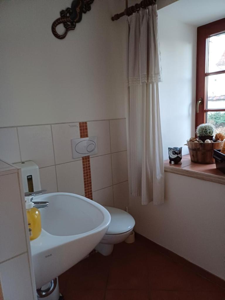 Pension Hayna Zi. 1 und Zi. 2 photo 3