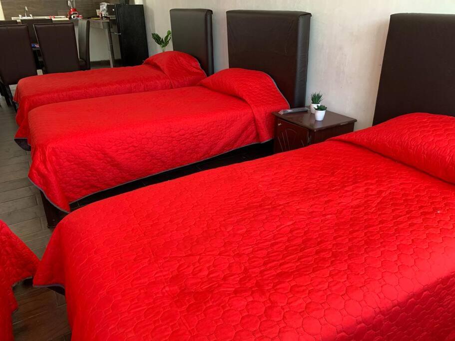 Departamento Las Rosas photo 3