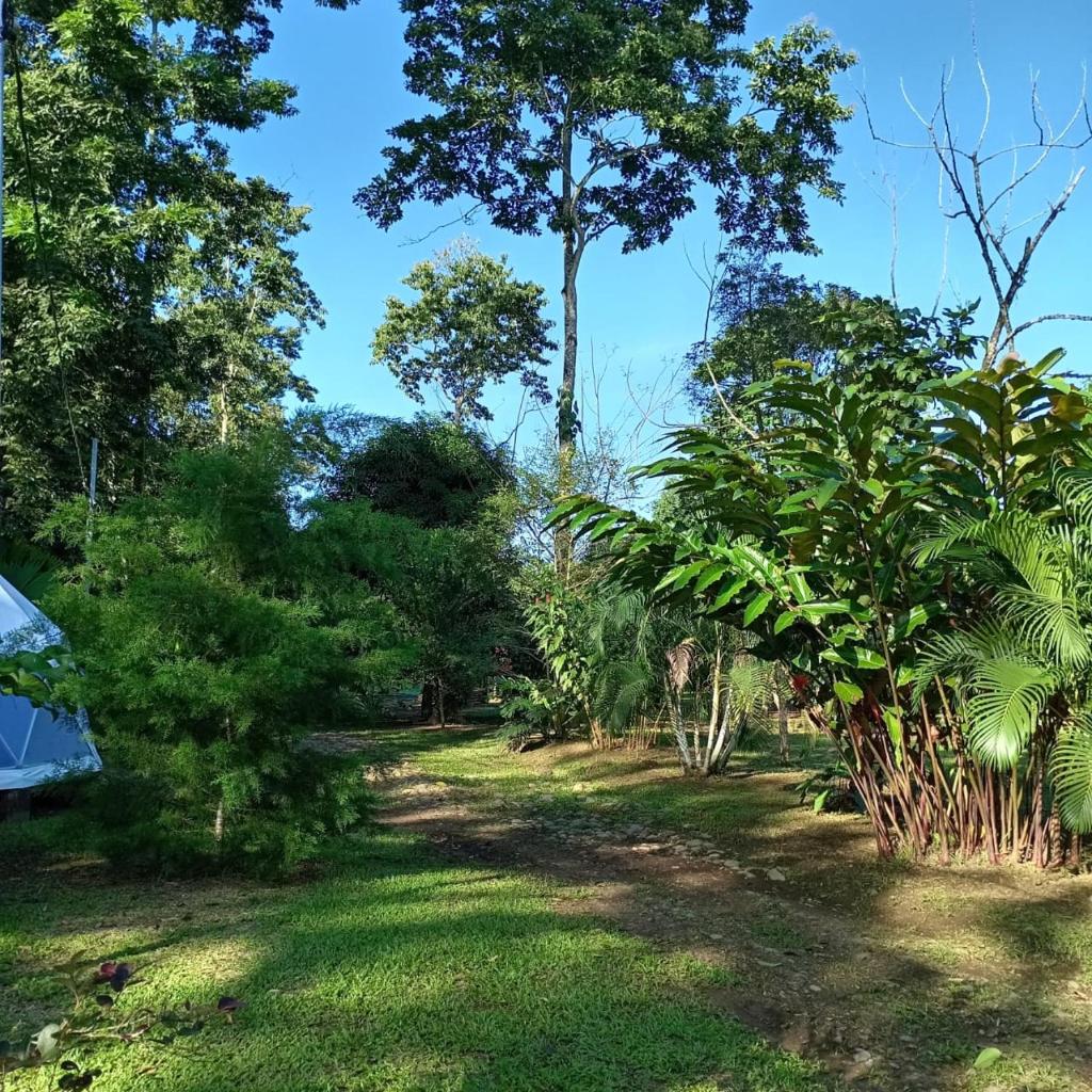 Glamping Naioth photo 3