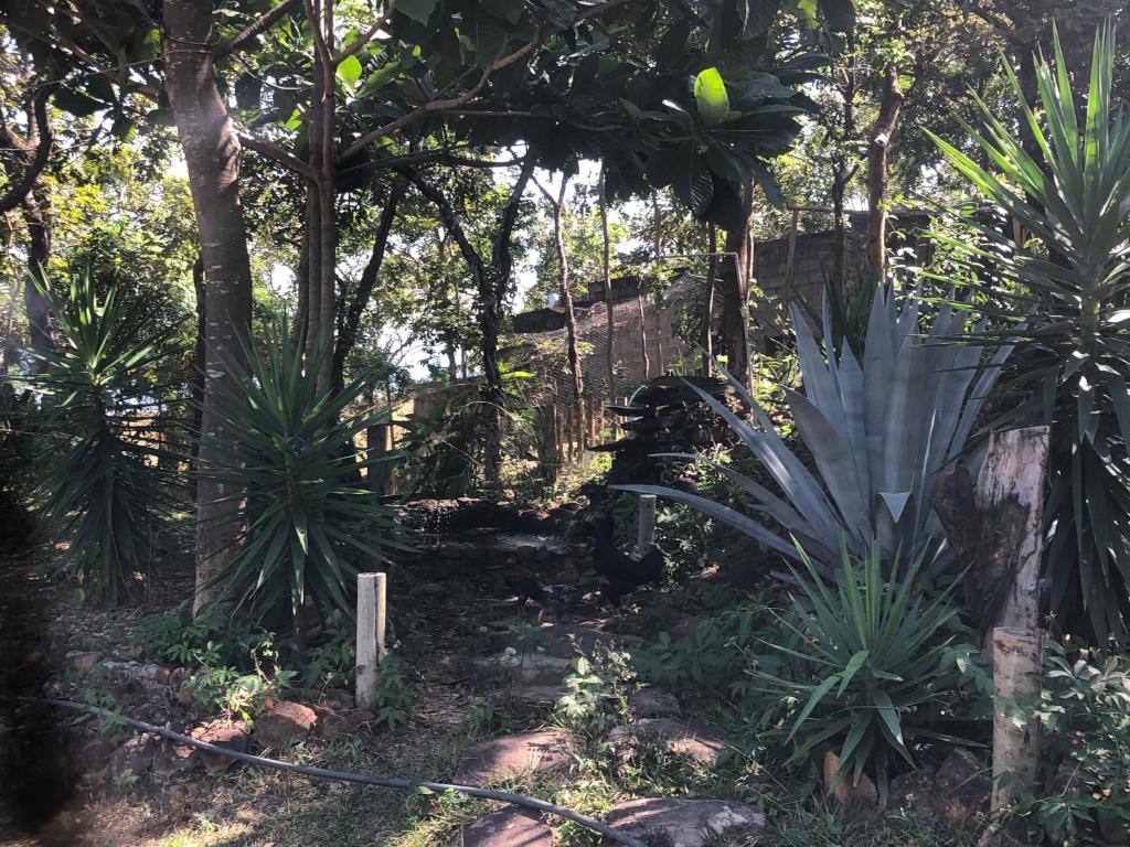 Casa Tucunaré photo 2