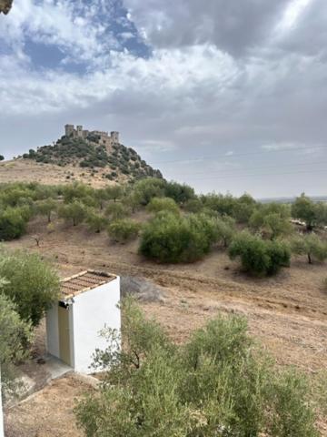 Casa Caraza. Un olivar con vistas al castillo de Juego de Tronos photo 1