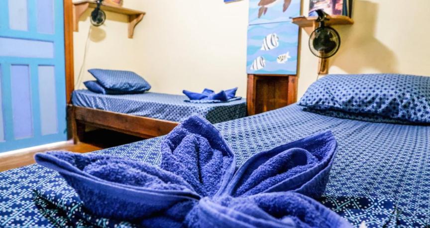 Roatan Backpackers' Hostel photo 1