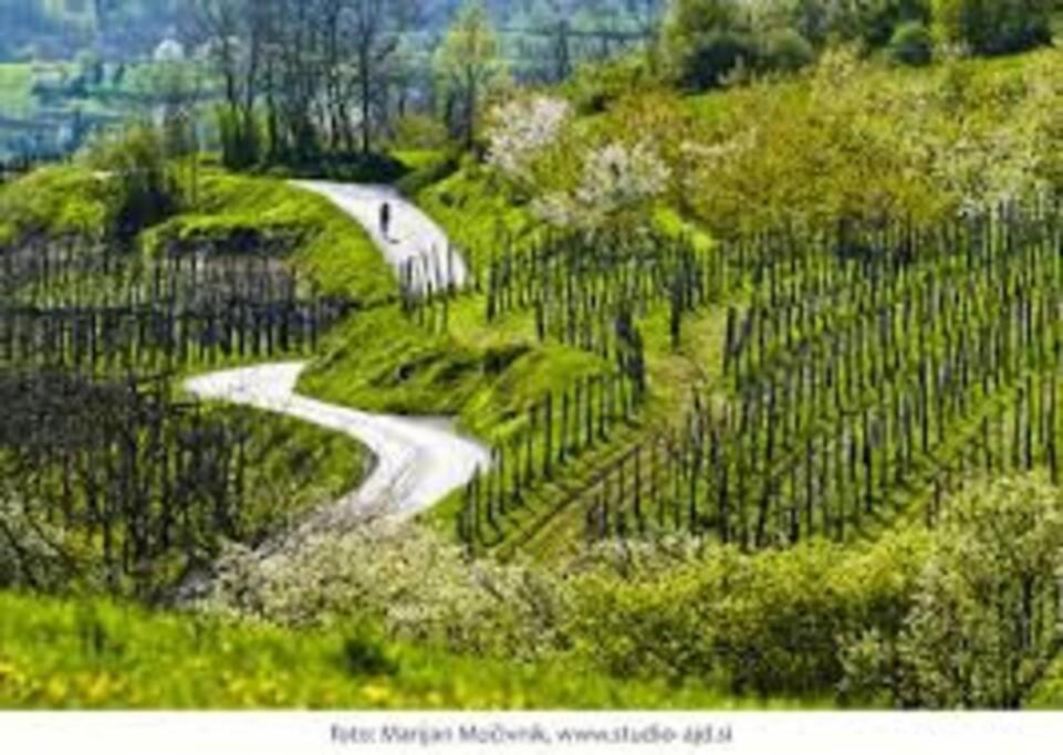 Serenity & Adventure in Dreamy Locale near Bled photo 2
