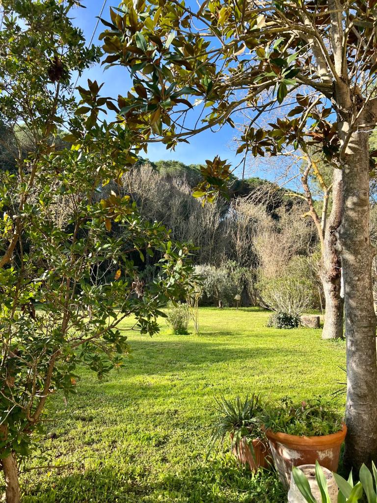 Villa Angiolina Marina di Castagneto Carducci photo 3