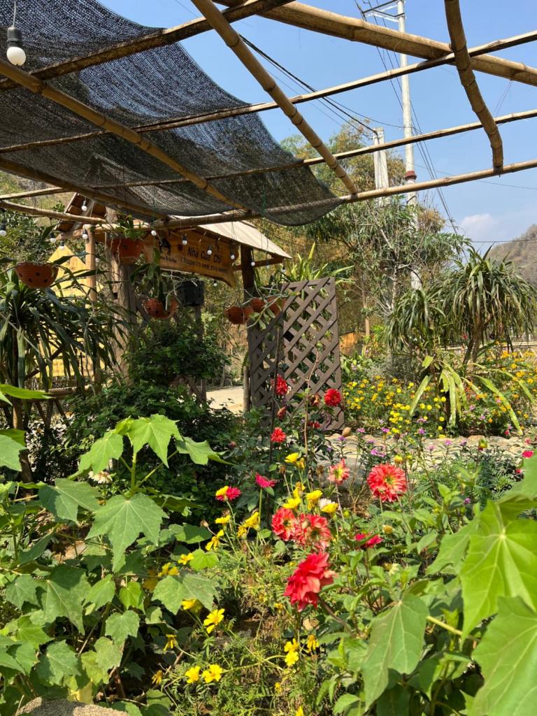 NHÀ CỦA CHI - HOMESTAY & COFFEE