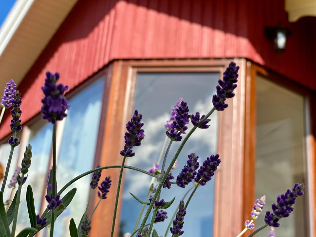Ferienhaus“Wieden am See“ photo 4