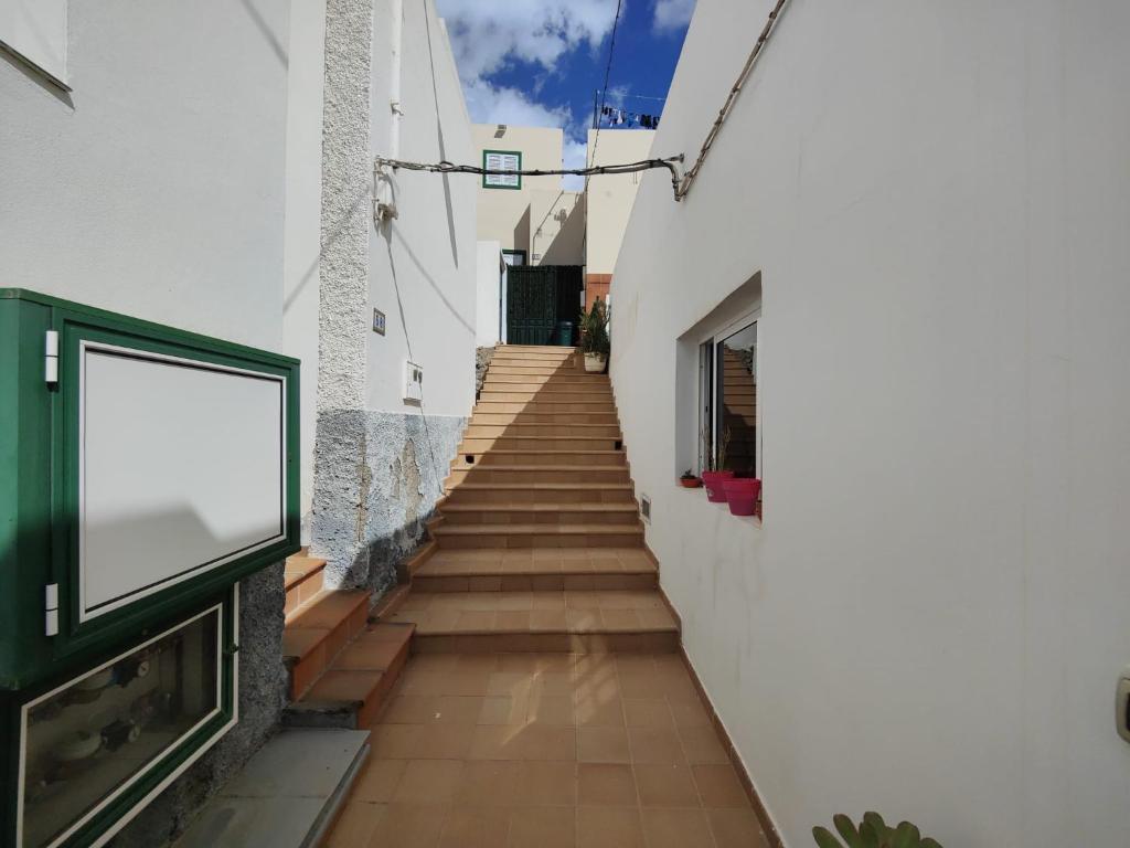 Alma libre photo 2