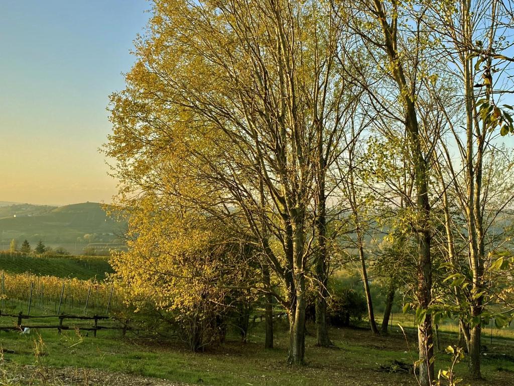 Villa panoramica sulle colline del Monferrato photo 4