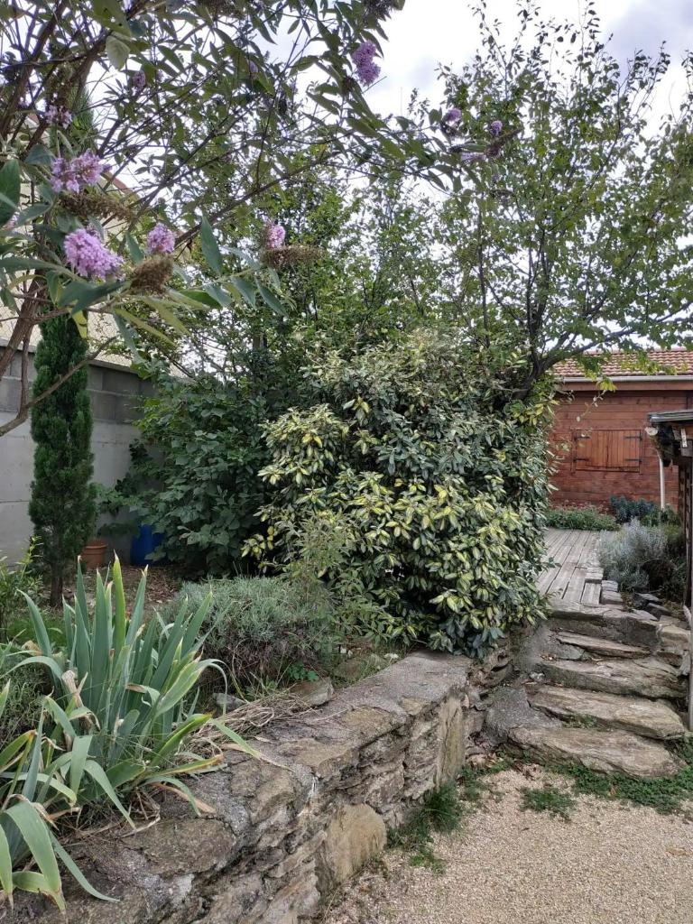 Gite Chalet Loisirs Parc Pilat photo 2