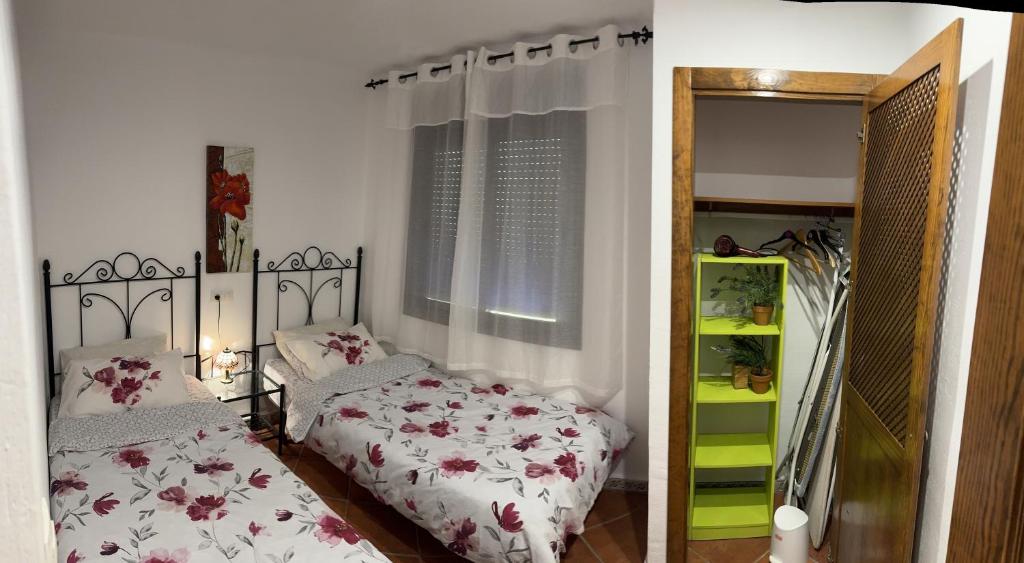 Bungalow Punta Marina photo 2