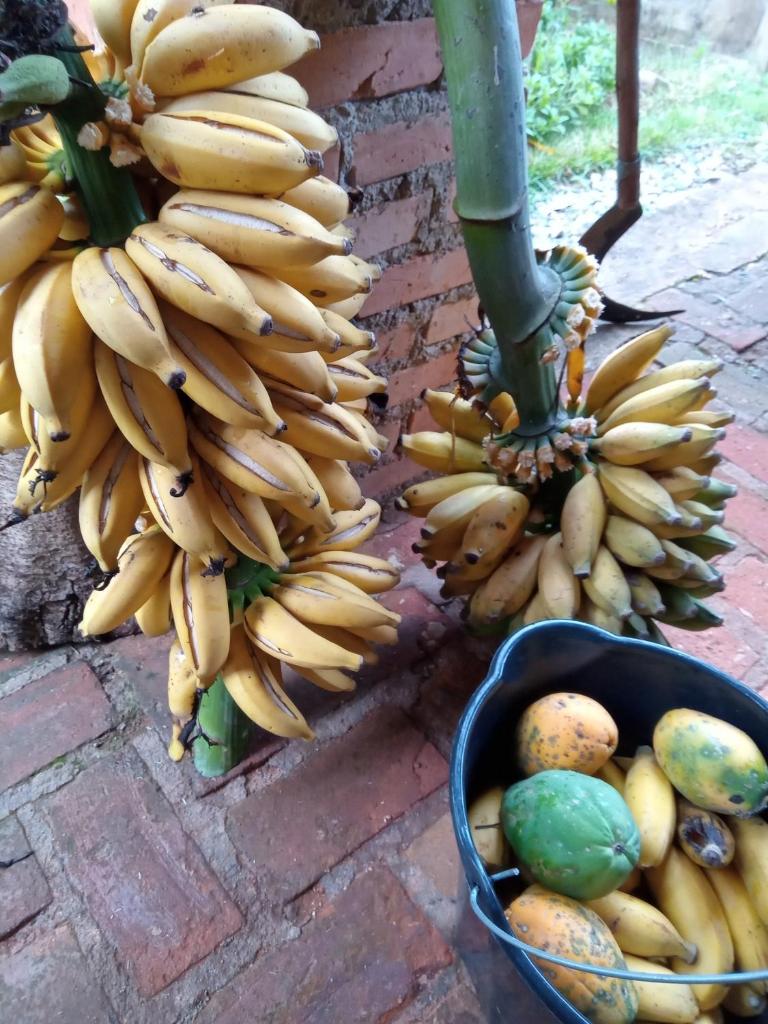 Chácara mãos de Gaia photo 3