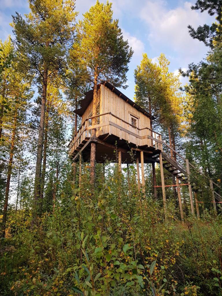 Aurora Lodge photo 2
