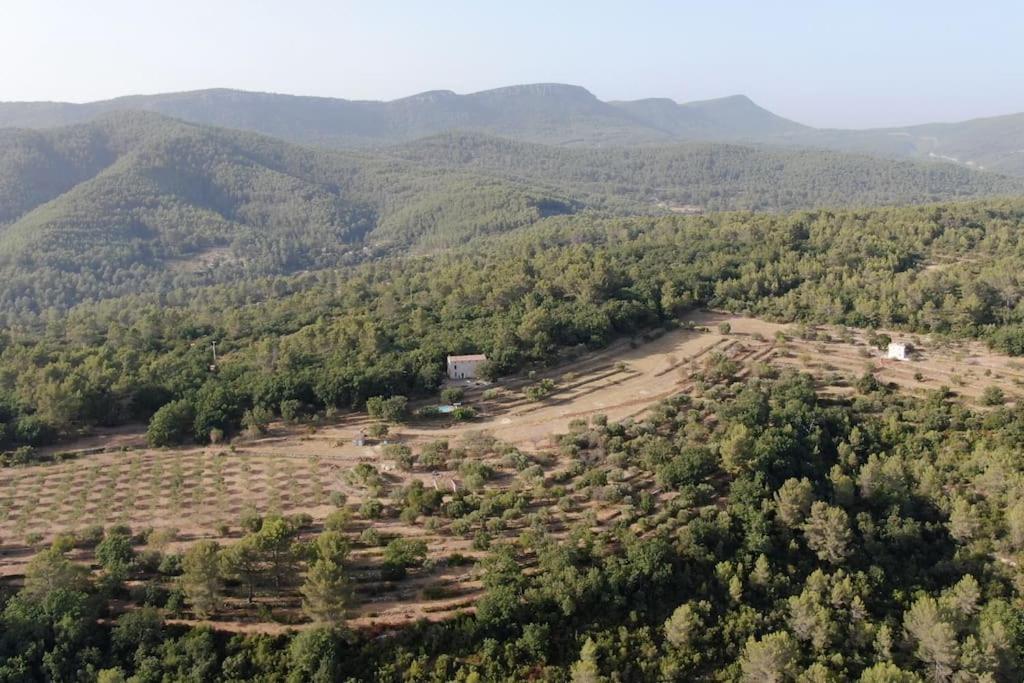 Cabanon Provençal