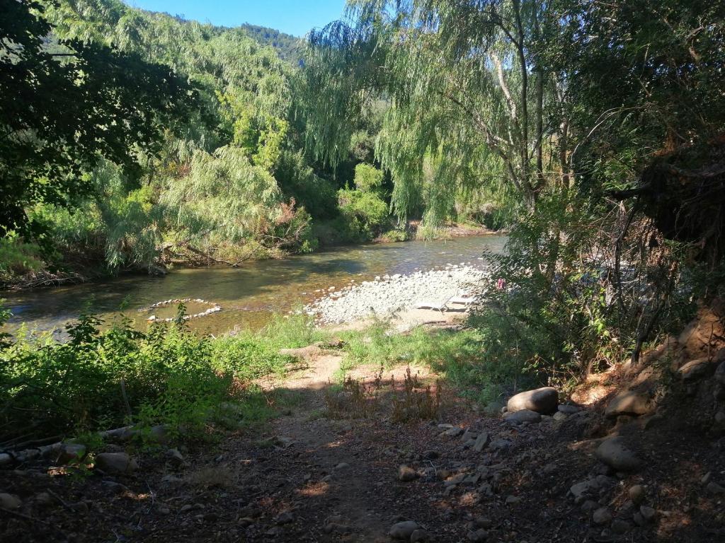 Refugio Rabones, Cabañas & Spa Junto al Rio photo 4