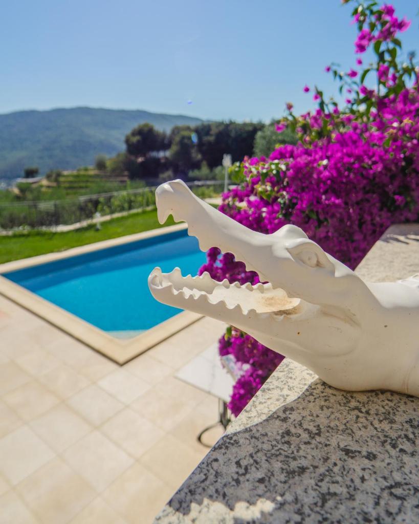 Appartamento in Villa Antonia photo 2