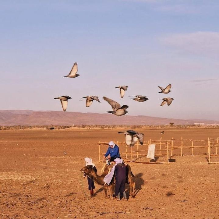Bivouac ZAGORA photo 4