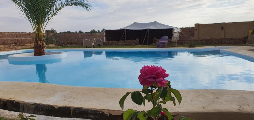 La Siwa photo 3