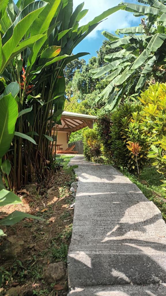 Martinique La petite maison dans la Colline photo 2