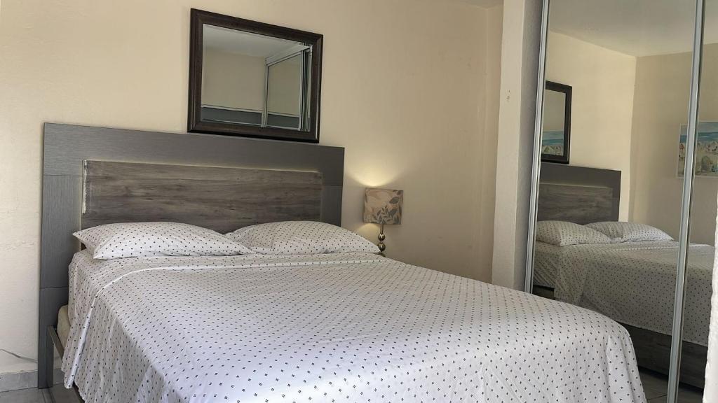 Playa Apartments photo 4