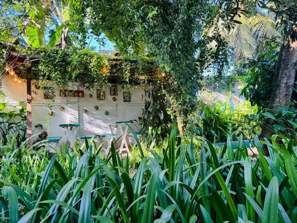 Double Mango Villa photo 3