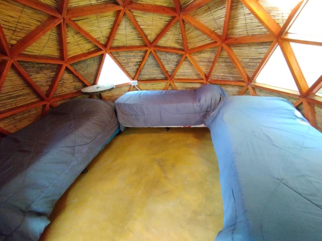 Casa Arbol Domos photo 4