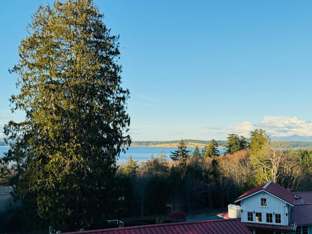 Anacortes Ship Harbor Inn photo 1