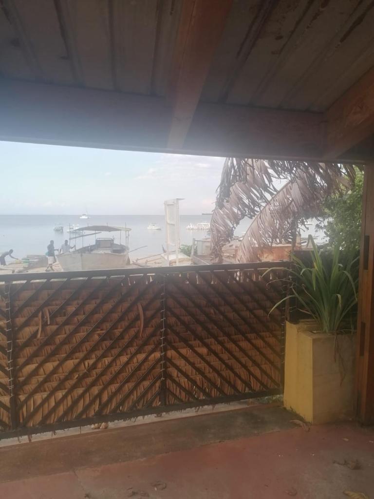 Maison jaune bord de la mer photo 4
