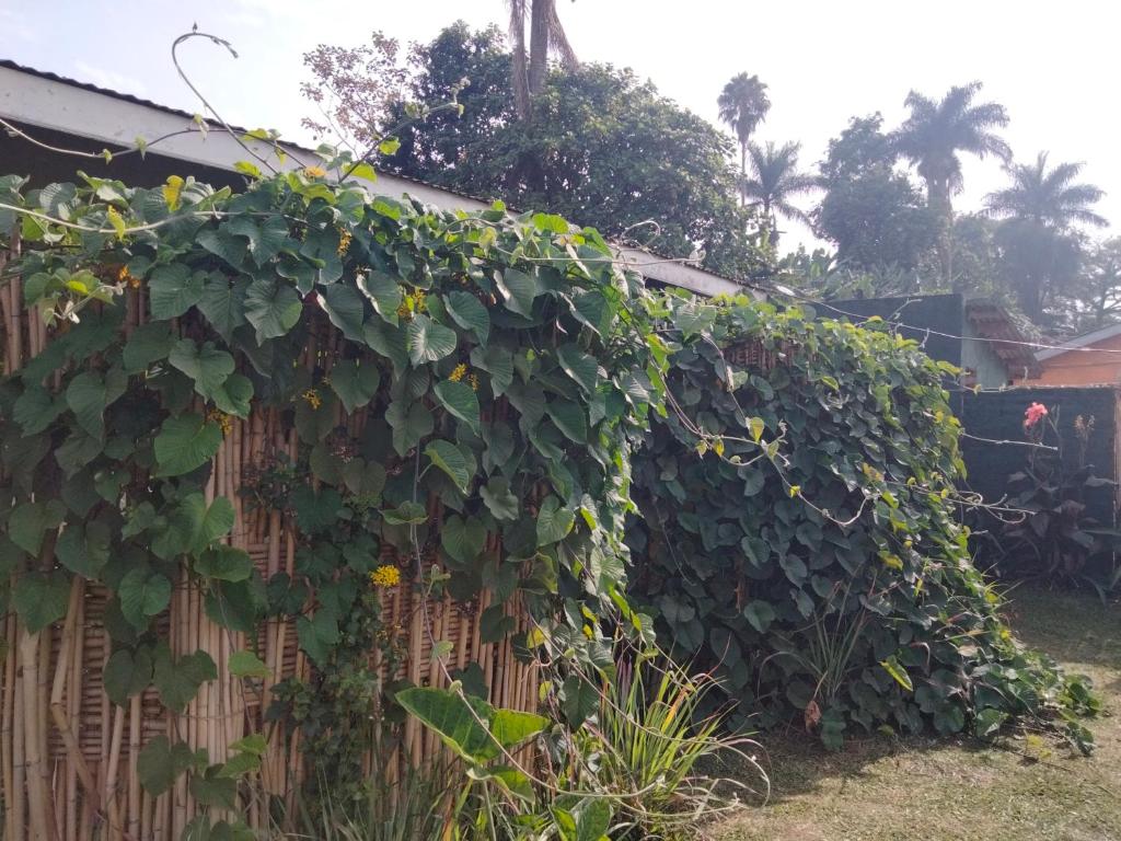 Gaia Eco Hub BnB photo 2