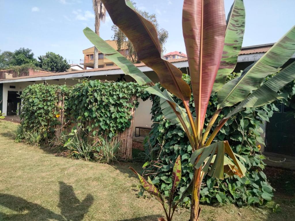 Gaia Eco Hub BnB photo 4