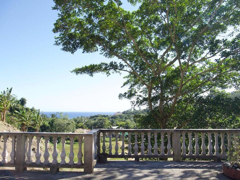 Roatan’s green view getaway. photo 4